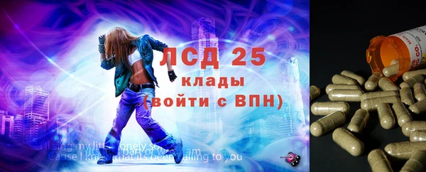 мдпв Кулебаки