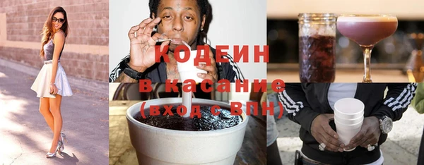хмурый Корсаков