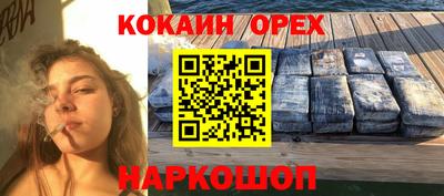 крисы Апшеронск