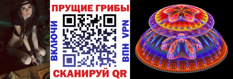 Псилоцибиновые грибы GOLDEN TEACHER  Южноуральск 