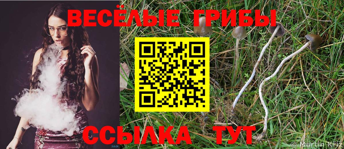 Галлюциногенные грибы Magic Shrooms Южноуральск