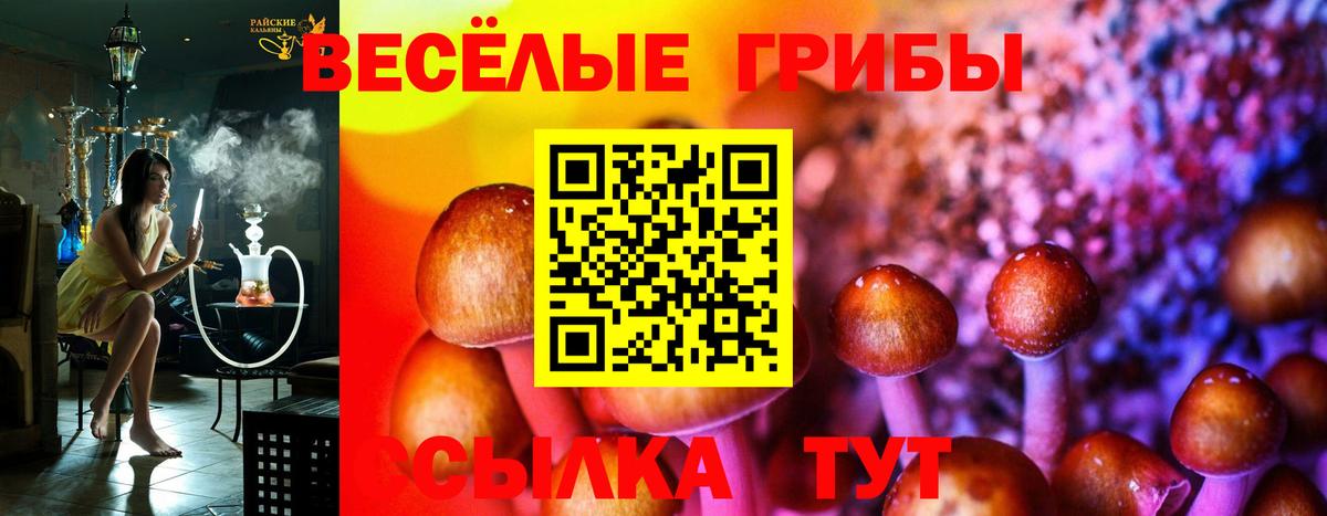 закладка  Псилоцибиновые грибы мицелий  Вход с VPN  Псилоцибиновые грибы мухоморы  Южноуральск 