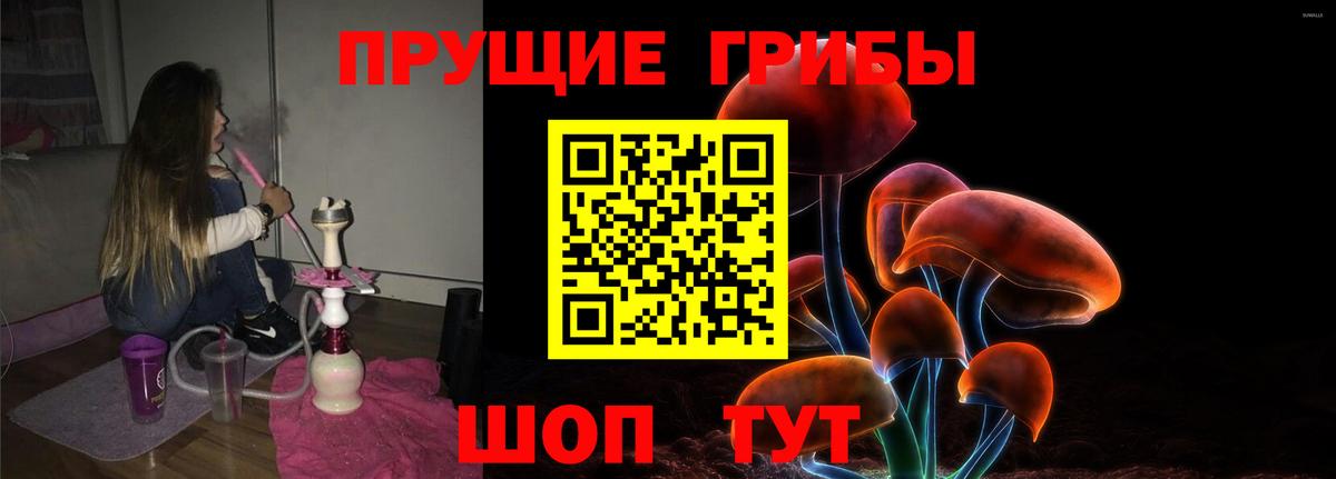 Псилоцибиновые грибы Cubensis  Южноуральск  сколько стоит  Псилоцибиновые грибы Cubensis 